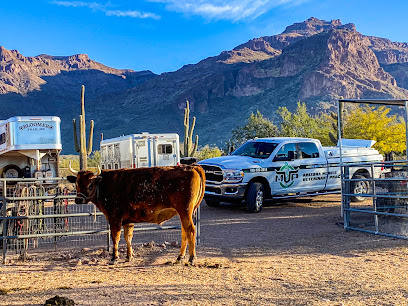 Arizona Mobile Veterinary Practice
 – Apache Junction
 – post thumbnail image