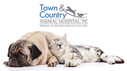 Town & Country Animal Hospital
 – Athens
 – Alabama post thumbnail image