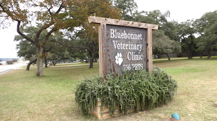 Bluebonnet Veterinary Clinic
 – Burnet
 – Texas post thumbnail image