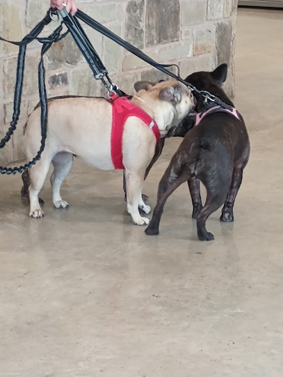 Fayette County Vet Clinic Inc
 – La Grange
 – Texas post thumbnail image