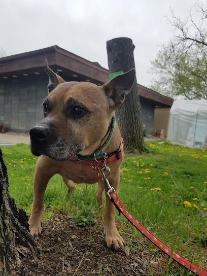 Cayuga Pet Hospital
 – Ithaca
 – New York post thumbnail image