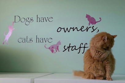 Hutchinson Pet Hospital: Roffey Kristen DVM
 – Hutchinson
 – Minnesota post thumbnail image