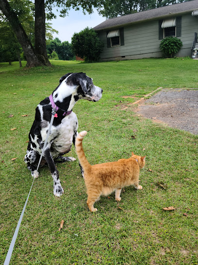 Dennis Veterinary Clinic
 – Conyers
 – Georgia post thumbnail image