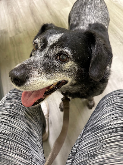 Miami County Veterinary Clinic
 – Peru
 – Indiana post thumbnail image