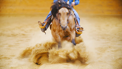 Teton Equine Mobile Veterinary Practice
 – Idaho Falls
 – Idaho post thumbnail image